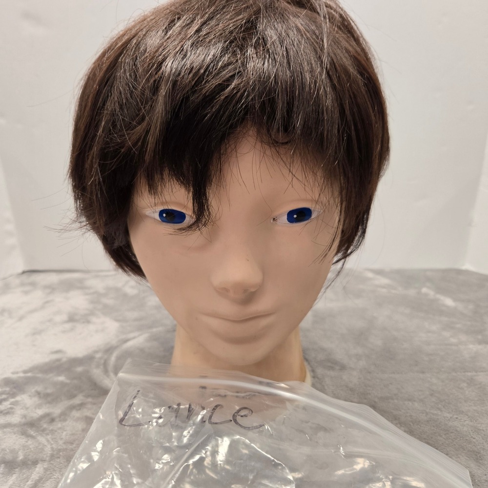 Short Dark Brown Layered Synthetic Wig Shaggy Cut Fringe Cosplay Everyday Wear